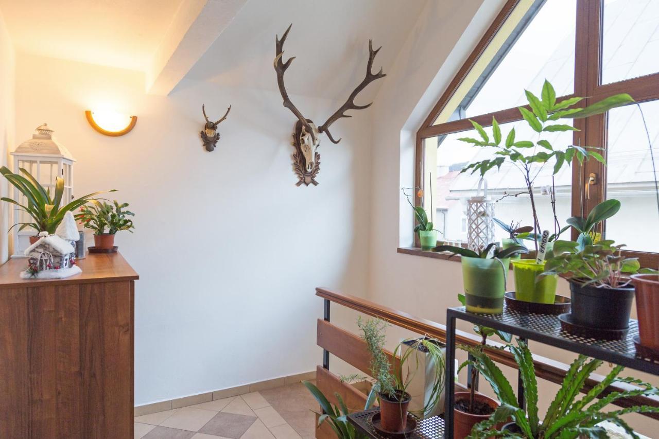 Apartmany Kenka Spisska Stara Ves Eksteriør billede